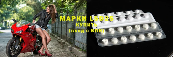 хмурый Верея