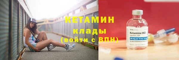 хмурый Верея