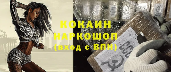 хмурый Верея