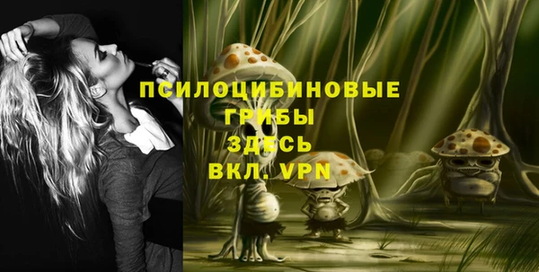 хмурый Верея