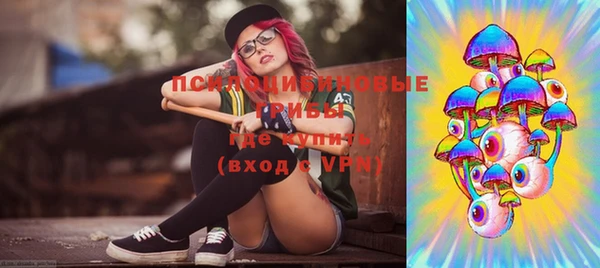 хмурый Верея