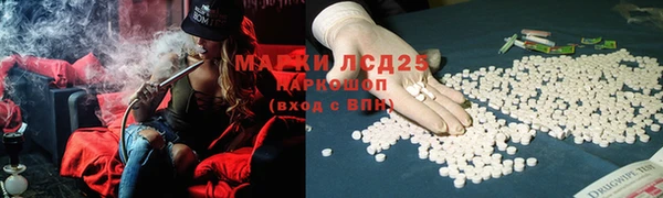 хмурый Верея