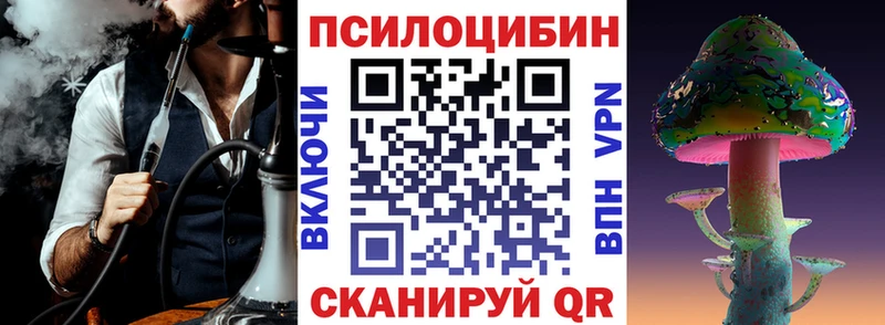 Купить где  Великие Луки  Галлюциногенные грибы Psilocybe 